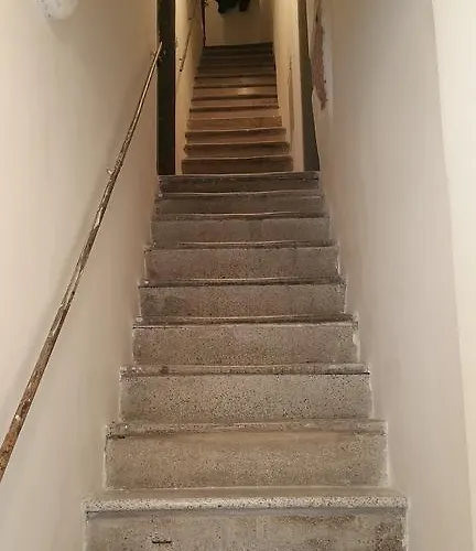 La Merlettaia ראפאלו